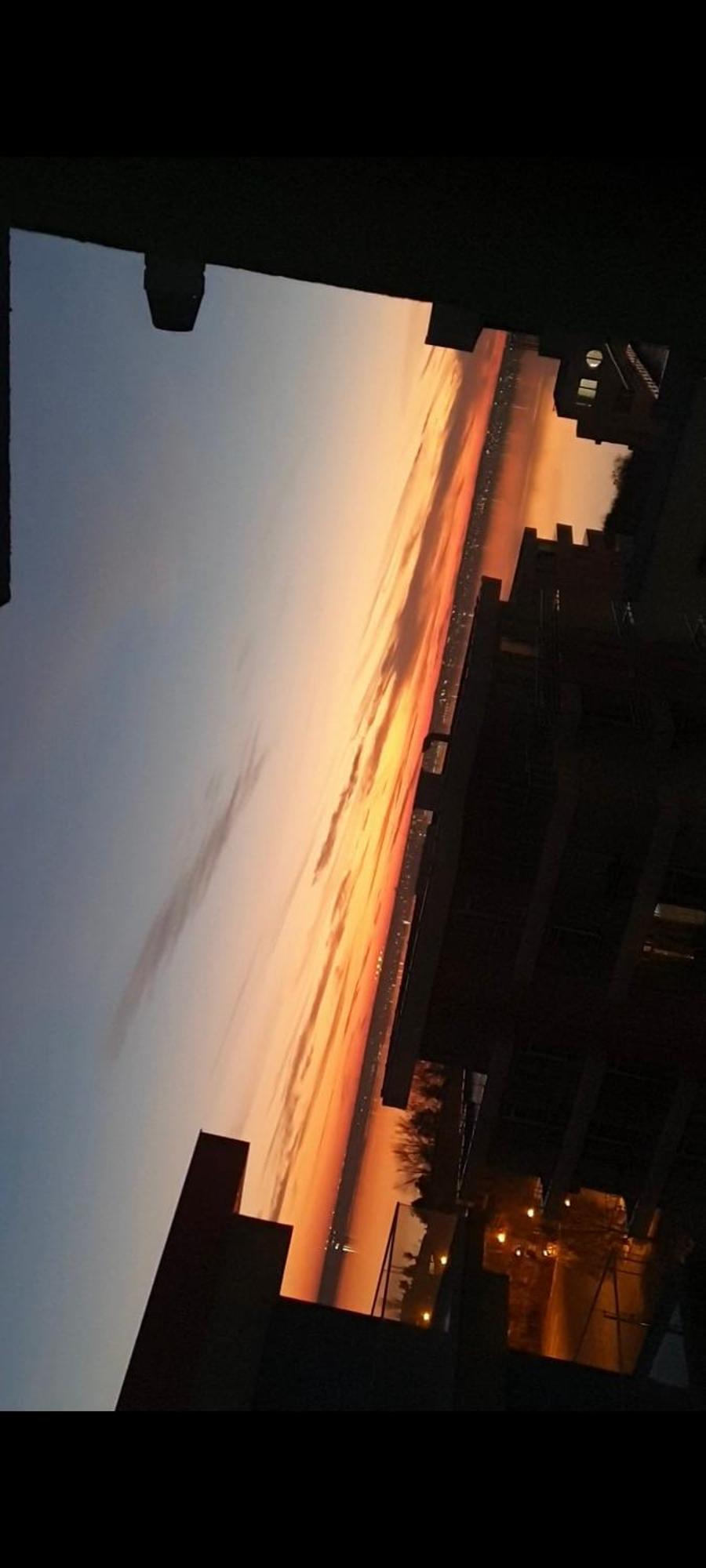 Bluemarina Apartamente Mamaia Bilik gambar