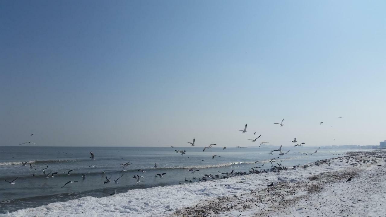 Bluemarina Apartamente Mamaia Luaran gambar